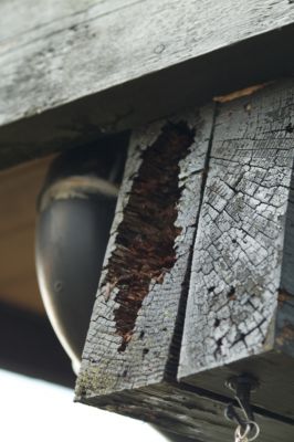 Dry Rot Repair, Dry Rot Repair, New Jersey