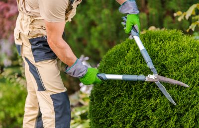 Landscape Contractor