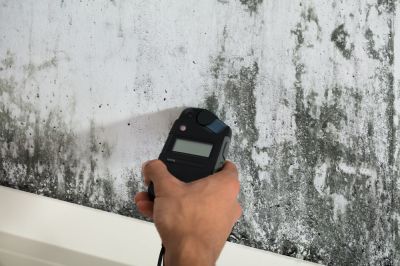Toxicity Testing